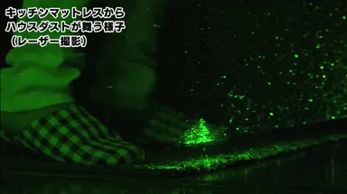 【ハウスダスト キッチン編】特殊レーザー撮影