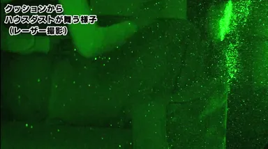 【ハウスダスト クッション編】特殊レーザー撮影