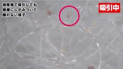 【ダニ掃除機吸引編】吸引中