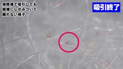 【ダニ掃除機吸引編】吸引終了