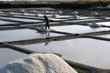 フランス塩田風景