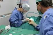 子宮内人工授精手術の様子1