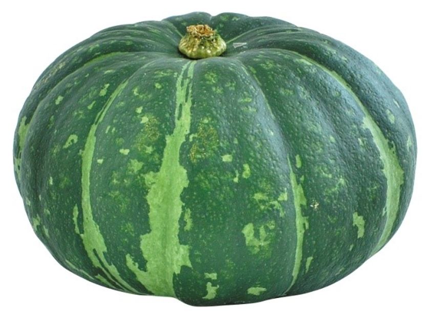 有機野菜の「ビオ・マルシェの宅配」、
久宝寺緑地で開催される
「久宝寺こうえんマルシェ」に初出店！
-初夏を告げる旬の有機野菜、有機平飼い卵を販売-