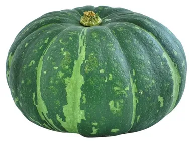 有機サラダかぼちゃ