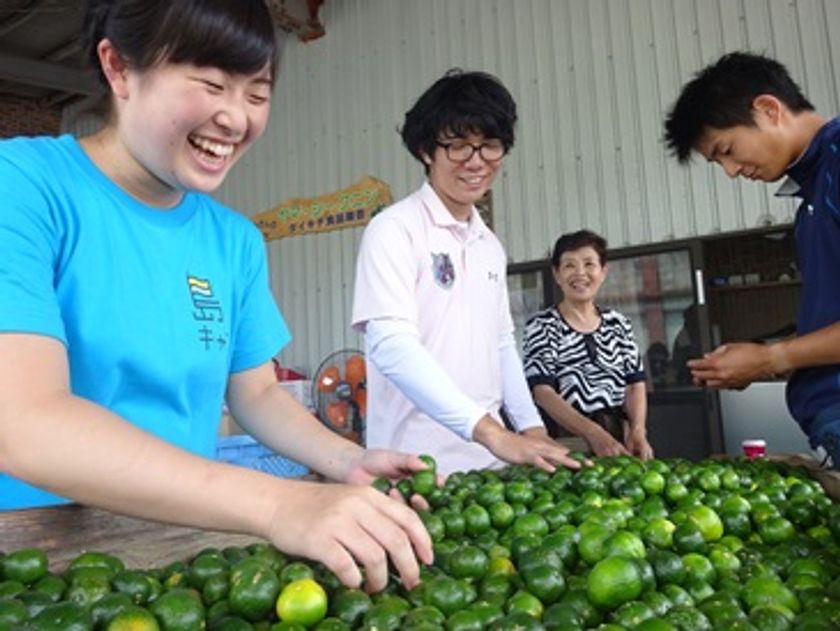 [島おこしインターンシップ島キャン]
今夏185名が離島でインターンシップ！
「2017年夏の島キャンキックオフミーティング」を
7/1（土）に開催いたします。