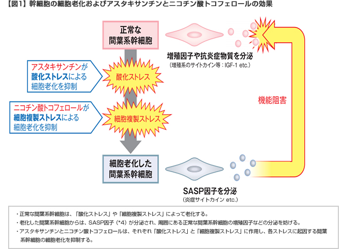 アスタキサンチン 効果