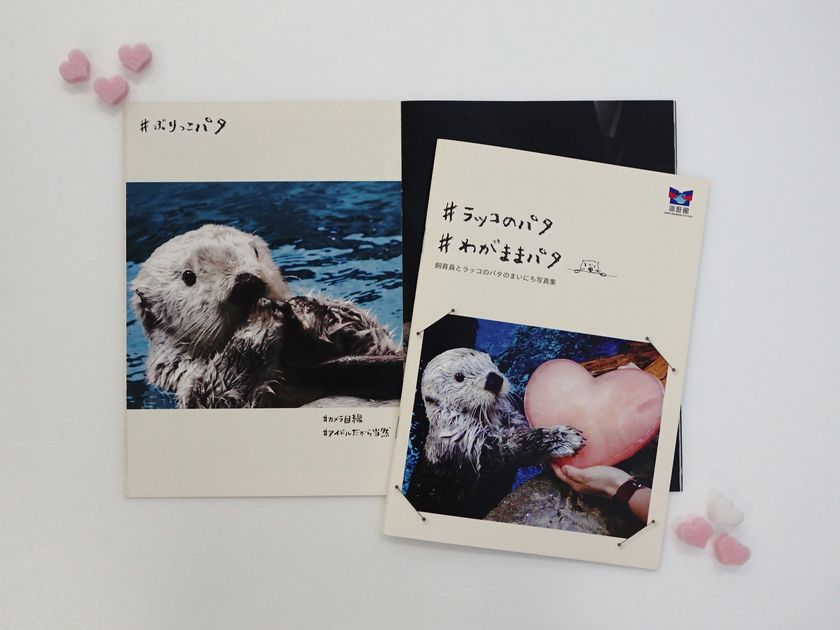 SNSの女王!?ゆるふわ＆わがままで大人気な
ラッコの写真集「#ラッコのパタ　#わがままパタ」を
6月28日から数量限定販売！
