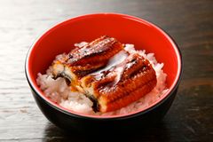 ワンコインうなぎ専門店　毎月10日は「うな丼 390円」行列の絶えない店がさらに行列に！