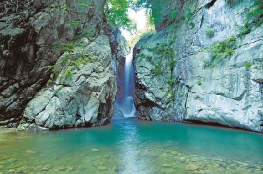 首都圏発 日帰りツアー89(ハンキュ―)万人突破記念
（過去5年間）
あなたの街（35ヶ所）から出発キャンペーン!!
「名瀑一之釜と巨峰狩り食べ放題」
4,990円～5,990円!!   7月2日（日）発売開始
