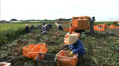 高知の次世代産業育成へ