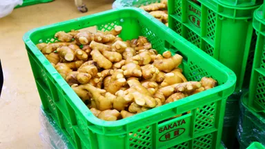 年間約6,000トンを出荷