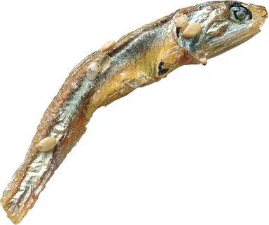 味ごのみこくうまわさび風味 ごまいりこ