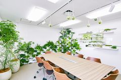 花と緑の力で、コミュニケーションが芽生える空間に　環境緑化事業をリブランディング「OASEEDS(オアシーズ)」2017年7月提供開始