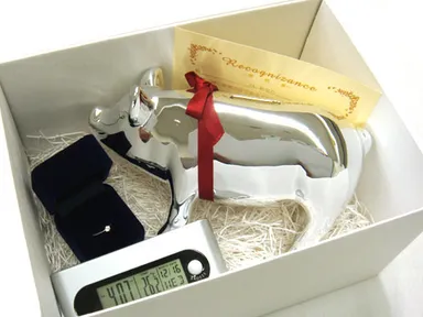 強制入籍セット