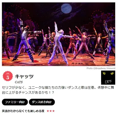 ミュージカル情報