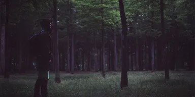 フラッシュライト