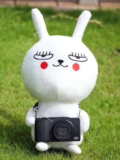 Jay the Rabbitイメージ(2)