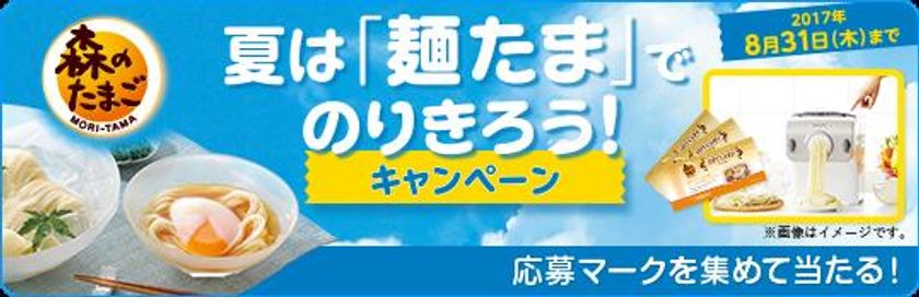 夏は「麺たま」でのりきろう！
「森のたまご」キャンペーンを7月1日～8月31日開催