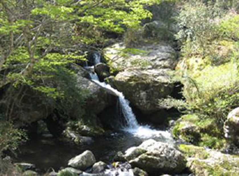 人気のメロンまるごとお持ち帰り!!
あなたの街（35ヶ所）から出発!! 
3か所観光・3回食事付
「ごきげん3バスツアー 篠山・日帰り」
〔阪急の日 8月9日 前後10日間の出発限定〕絶賛発売中