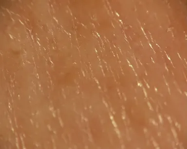 替刃剃り後 キメ削られ滲みあり