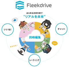 Fleekdriveとは