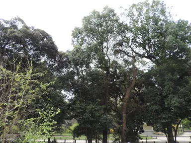 施設前の写真(新宿御苑)