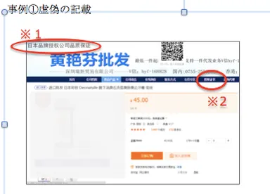 事例(1)虚偽の記載