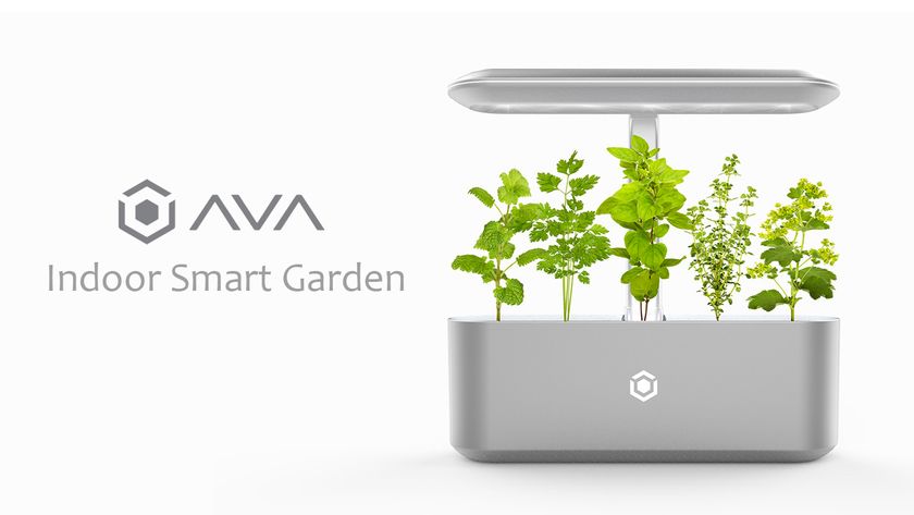 あなたのキッチンがガーデンになる？！ 
スマートプランタ『AVA Byte』が登場。