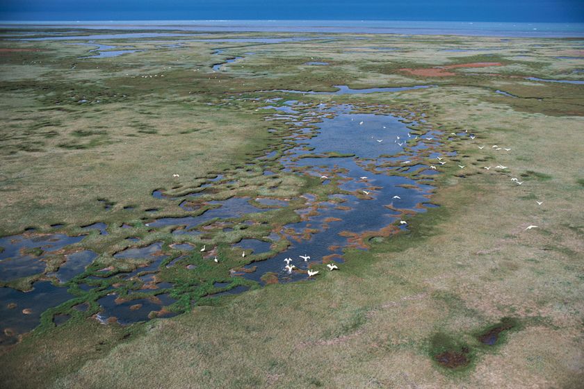 アマナビ主催「自然環境分野でのドローン活用セミナー」