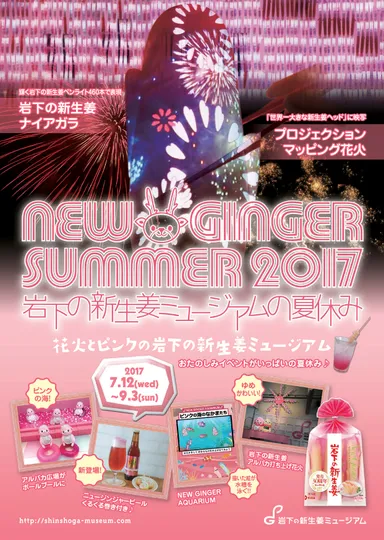 NEW GINGER SUMMER 2017