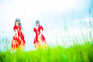 _74A5112_main※メインはこちら※トリミング不可※１枚での使用可能※