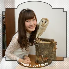 フクロウとも急接近