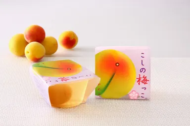こしの梅っこ(越生産南高梅)