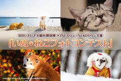 SBIいきいき少短「いぬ・ねこフォトコンテスト」7/26(水)より開催～入賞作品は2018年SBIいきいき少短オリジナルカレンダーに～