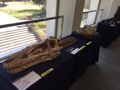 ミニ恐竜展1