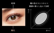 「瞳の色」分析イメージ