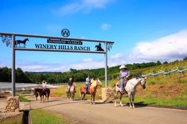 乗馬体験のできる牧場