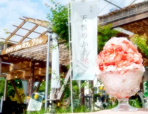 縁日・屋台メニュー