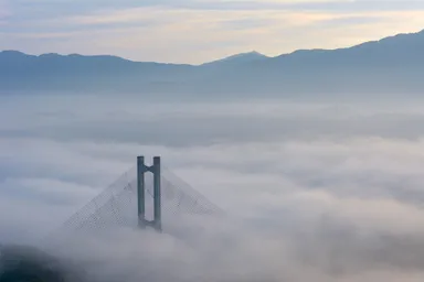 秩父ミューズパークから雲海を望む3
