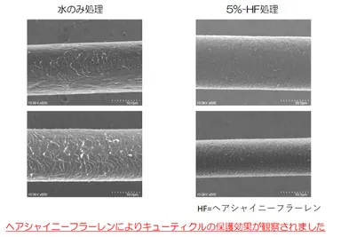 紫外線によるキューティクル保護効果