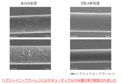 紫外線によるキューティクル保護効果