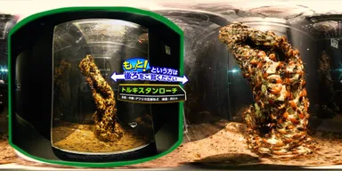 360Channel　イメージ3