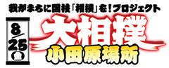 大相撲小田原場所 勧進元 一般社団法人小田原城下町