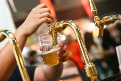 国内外のクラフトビール400種類以上がさいたまに集結！日本最大級 秋のビール祭りを8月30日～9月3日に開催