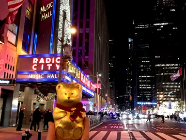 2016リンツ公式インスタアンバサダーの画像