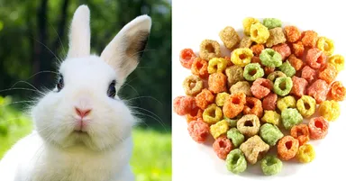 ん？美味しいものの匂い！