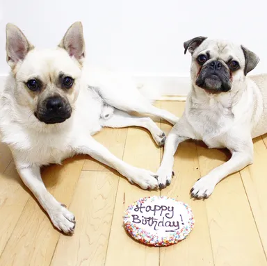 お誕生日おめでとう