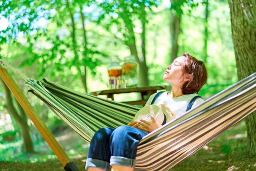 六甲高山植物園　ハンモックに揺られて大人の夏休み
「ブナカフェ」8月5日(土)スタート！