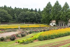 入口を抜けると花畑が広がる