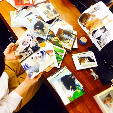 応募作品は1,000作品以上！